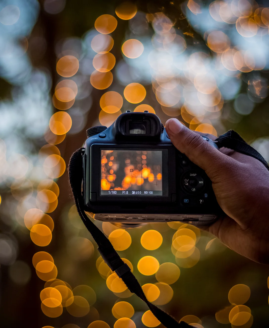 Hand holding camera bokeh background